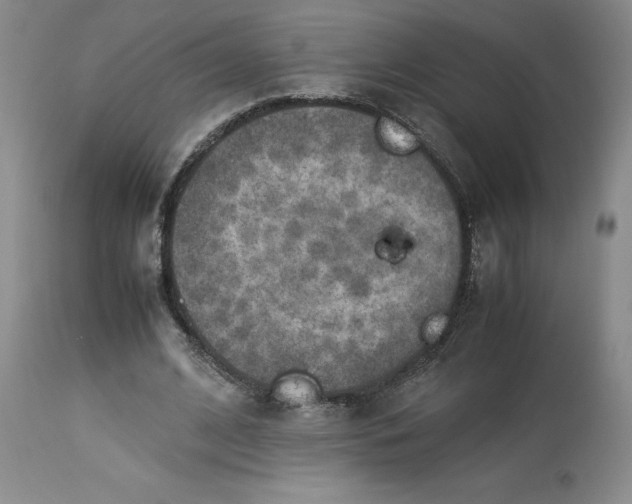 X0000113220584200910011347