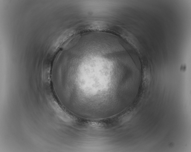 X0000113220585200910011347