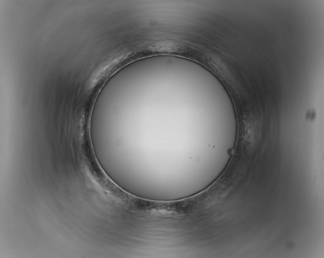 X0000113220586200910011347