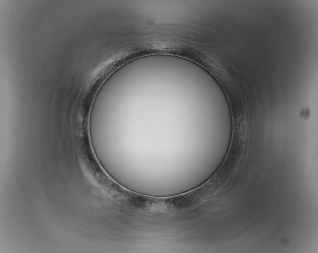 X0000113220587200910011347