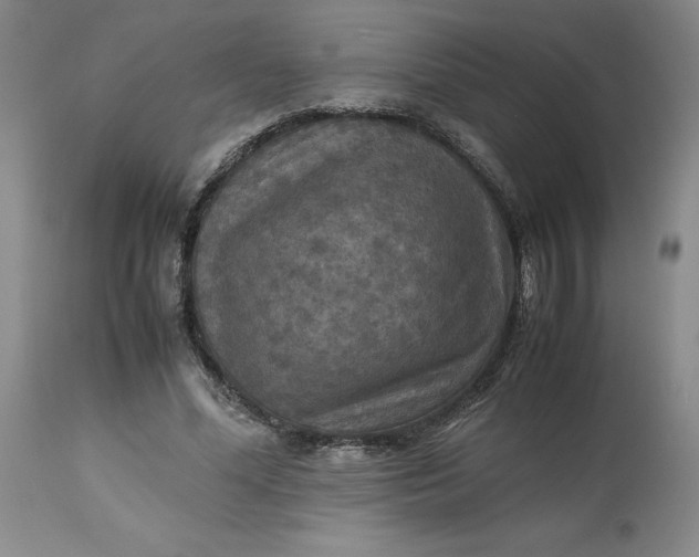 X0000113220588200910011347