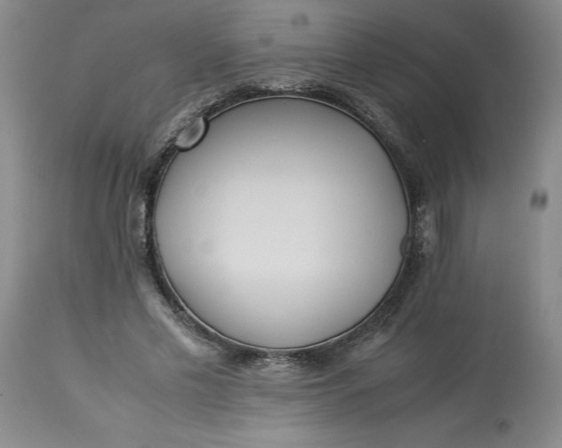 X0000113220589200910011347