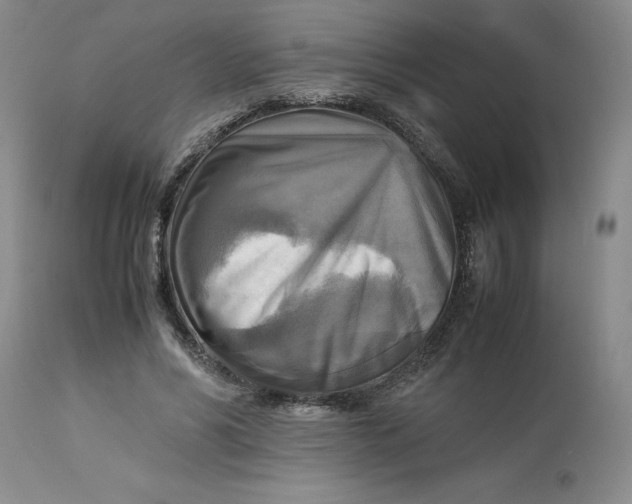 X0000113220590200910011347