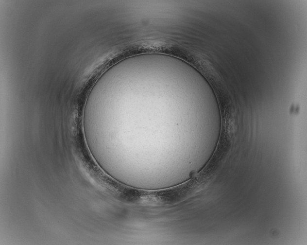 X0000113220591200910011347