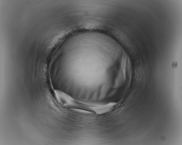 X0000113220592200910011347