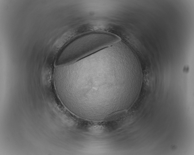 X0000113220593200910011347