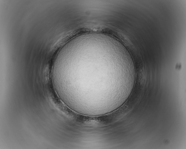 X0000113220594200910011347