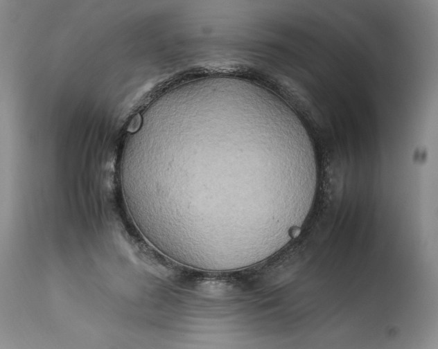 X0000113220596200910011347