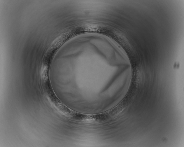 X0000113220598200910011347