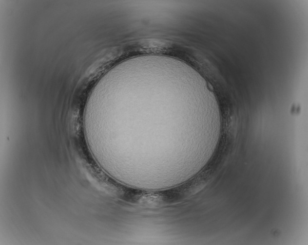 X0000113220599200910011347