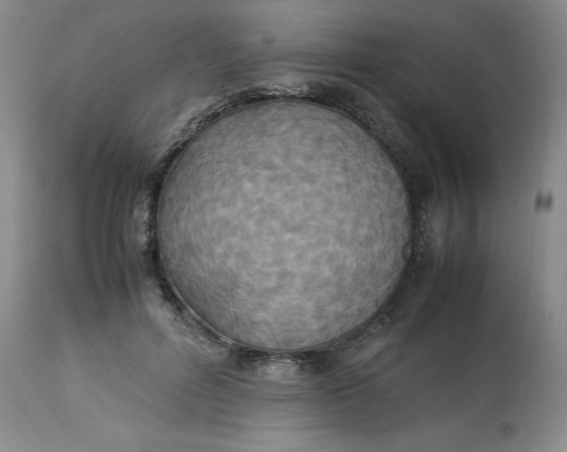 X0000113220600200910011347