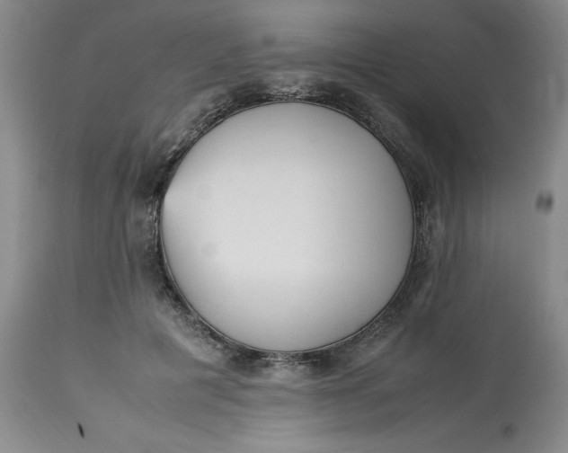 X0000113220601200910011347