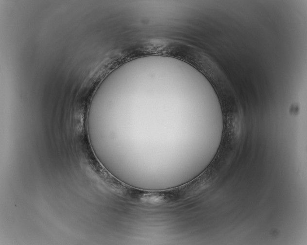 X0000113220602200910011347