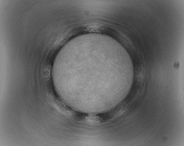 X0000113220603200910011347