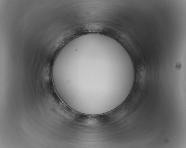 X0000113220604200910011347