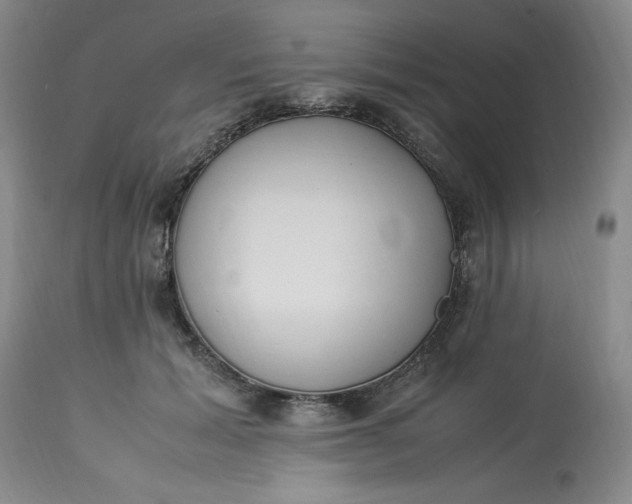 X0000113220605200910011347