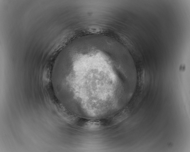 X0000113220606200910011347