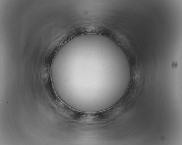 X0000113220607200910011347