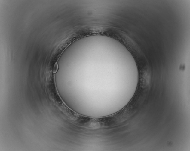 X0000113220608200910011347