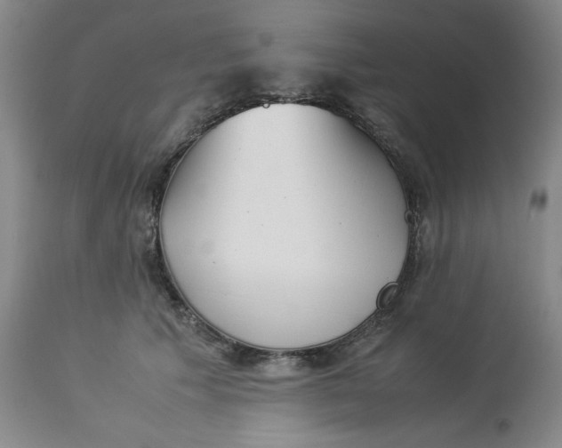 X0000113220609200910011347