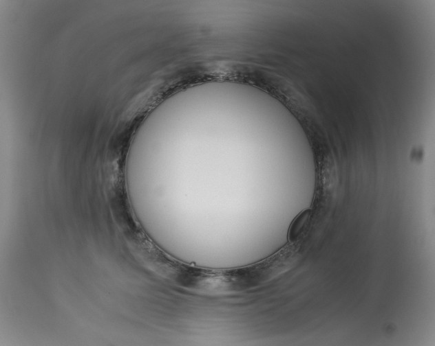 X0000113220611200910011347