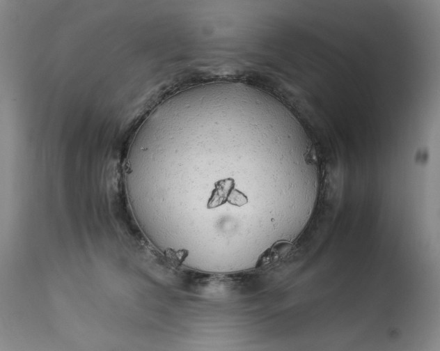 X0000113220612200910011347