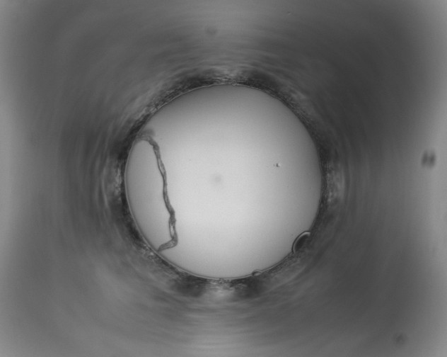 X0000113220613200910011347