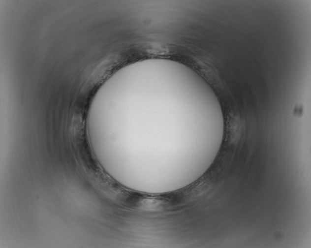 X0000113220614200910011347