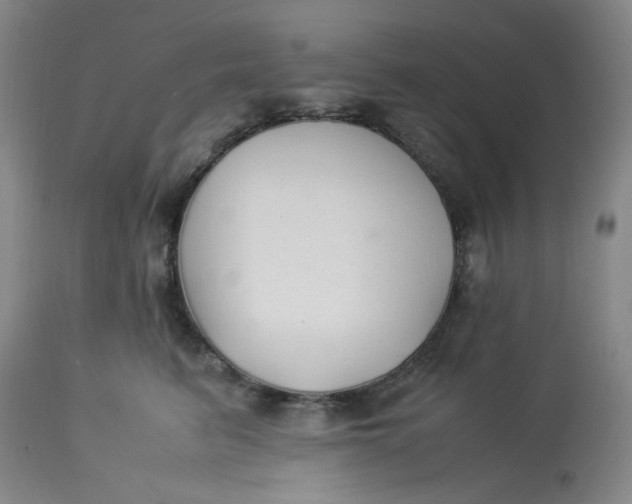 X0000113220615200910011347