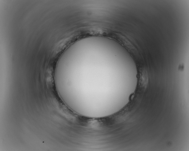 X0000113220616200910011347