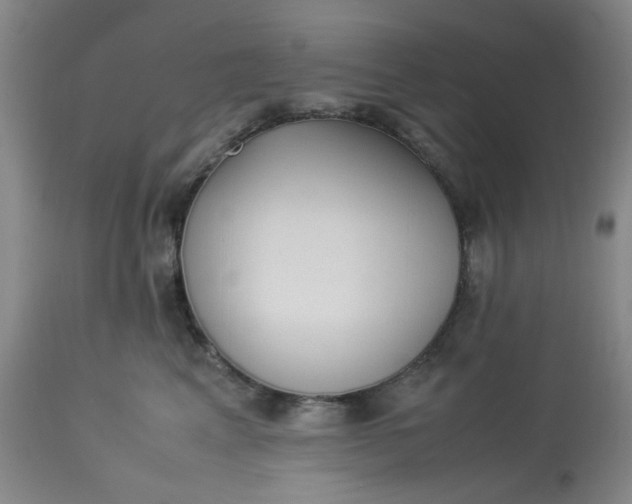 X0000113220617200910011347