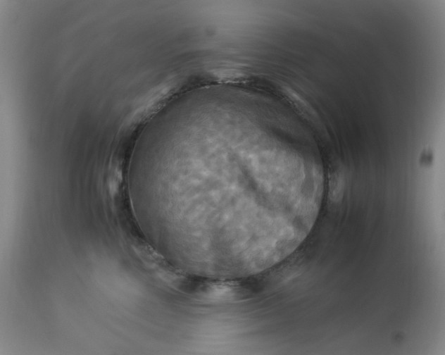 X0000113220618200910011347