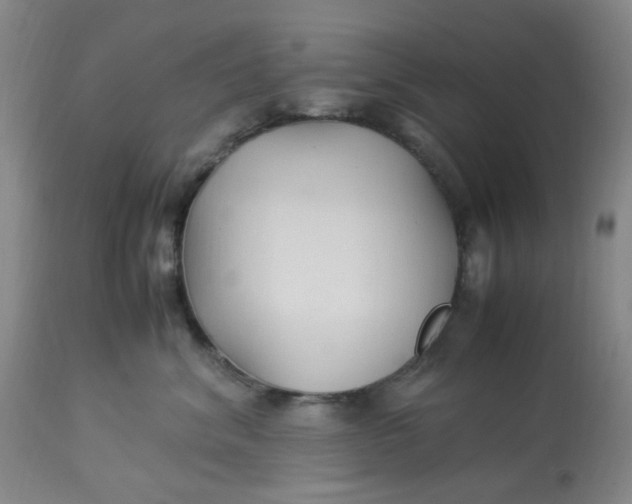 X0000113220620200910011347