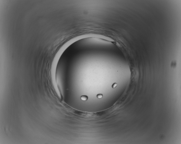 X0000113220621200910011347