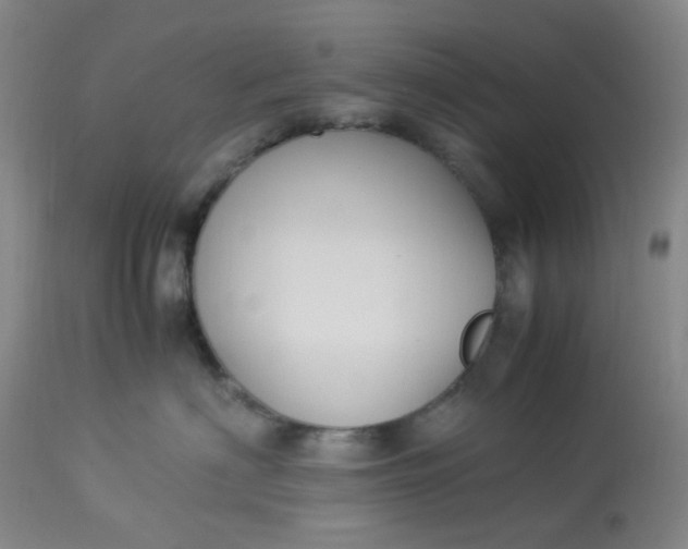 X0000113220622200910011347