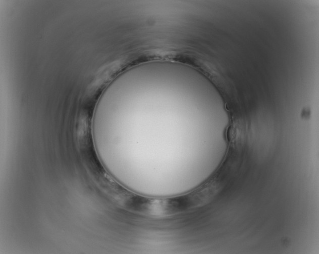 X0000113220623200910011347