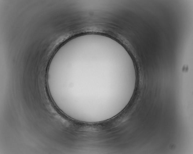 X0000113220625200910011346