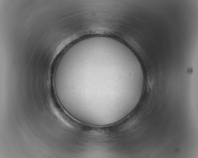 X0000113220630200910011346