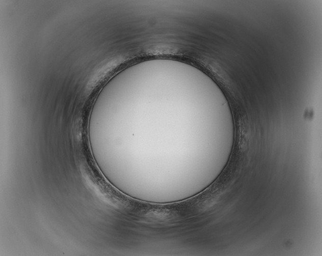 X0000113220631200910011346