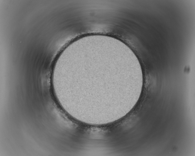 X0000113220632200910011346