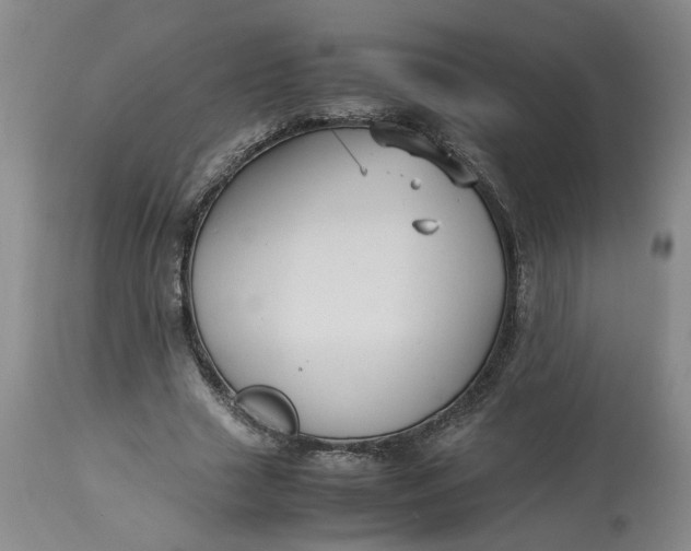 X0000113220633200910011346