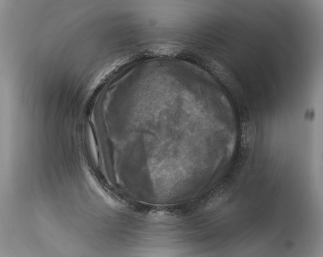 X0000113220634200910011346