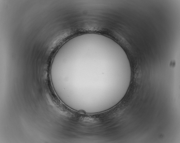 X0000113220635200910011346