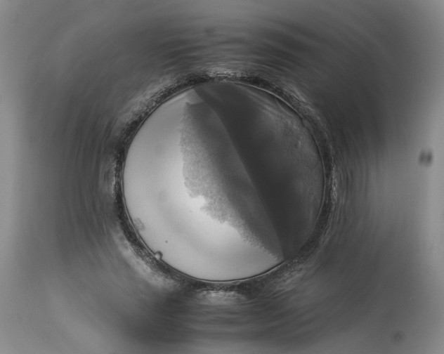 X0000113220637200910011346