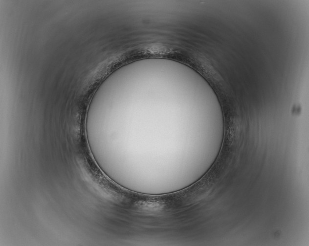 X0000113220639200910011346