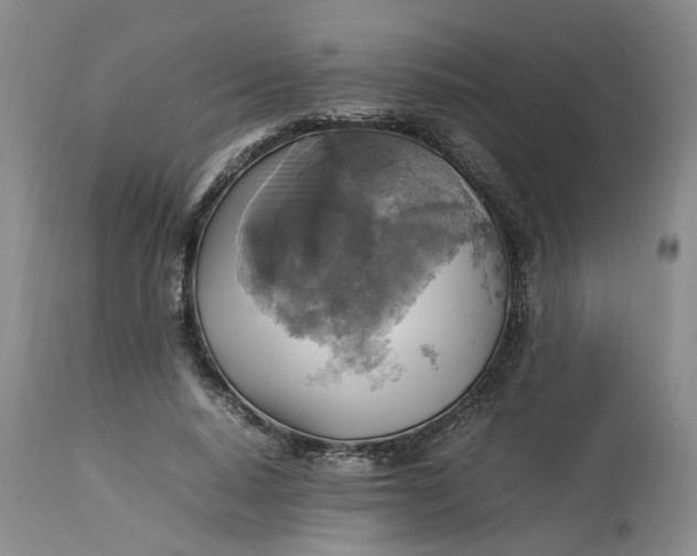 X0000113220640200910011346