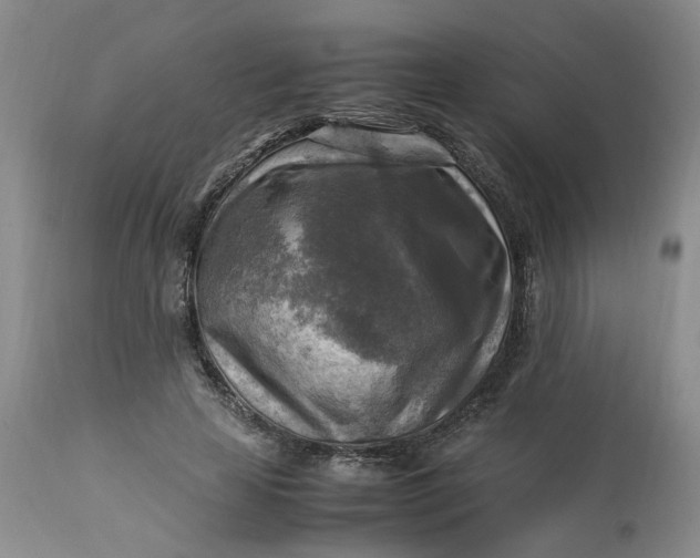 X0000113220641200910011346