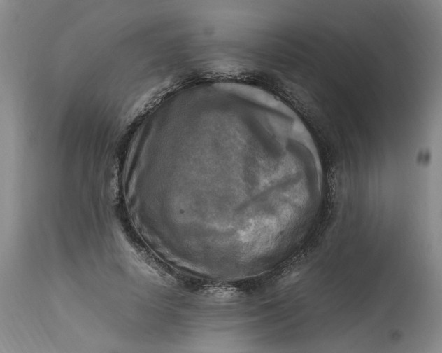 X0000113220642200910011346