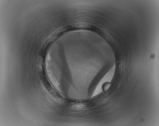 X0000113220643200910011346