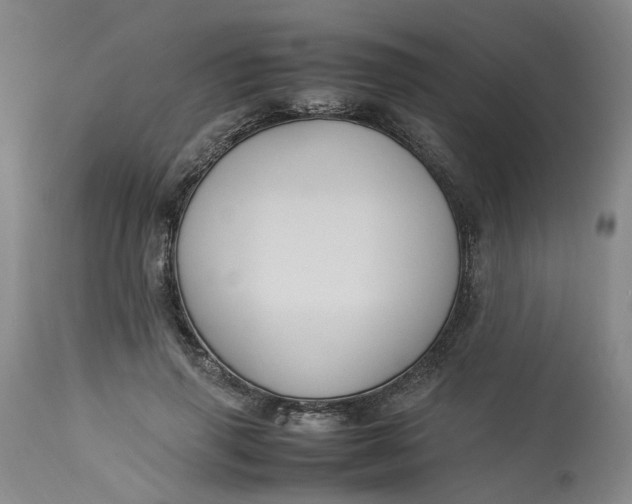 X0000113220645200910011346